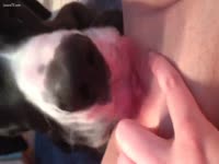 [ Bestiality DVD ] Spreading her love tunnel for a dog